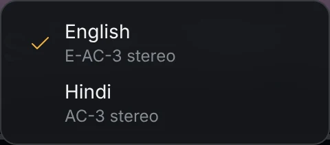 The audio menu listing two tracks: English, E-AC-3 stereo, and Hindi, AC-3 stereo.